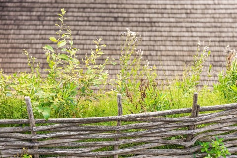 A rustic wooden fence surrounds a lush green garden. Various plants and grasses grow abundantly,