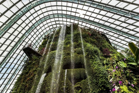 Indoor waterfall on the artificial mountain inside the Cloud Forest Botanical garden, Gardens by