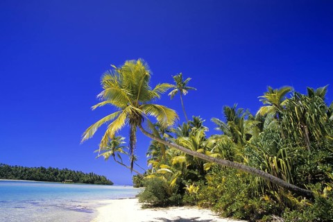 Cook Islands - dream beach - palm beach, Cook Islands