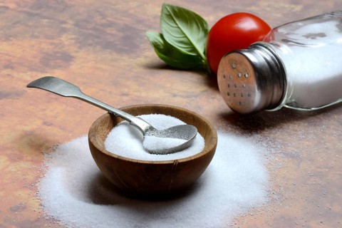 Salt in bowl and salt shaker, table salt
