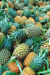 Fruit, Fruits, Harvested Pineapples, Chiang Mai, Thailand