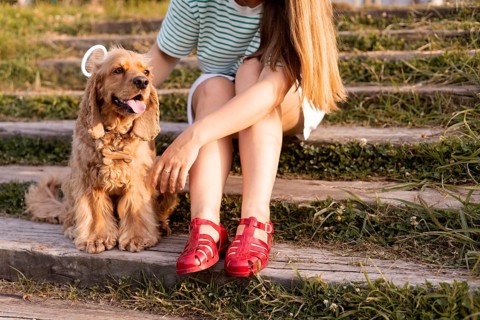 A woman in red sandals sits with a cocker spaniel on steps amidst grass in sunlight