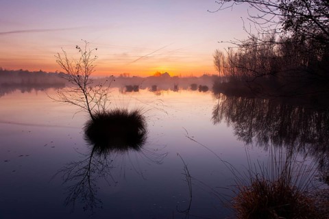 Daybreak in Goldenstedter Moor, Goldenstedt, Lower Saxony, Germany