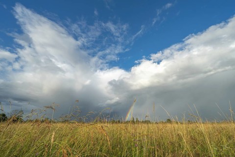 A rainbow appears in the cloudy sky over a field and bears witness to the traces of the recent