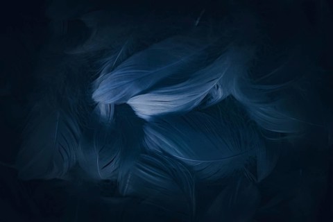 An abstract background featuring soft, flowing blue and dark hues. The design creates a sense of