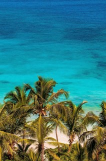 Travel, tourism, Petit Anse Beach, beach, palm beach, hotel, hotel complex, swimming pool, Mahe,