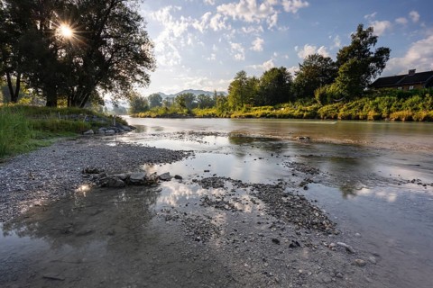 River, riverbed, trees, mountains, morning light, back light, sunny, low tide, drought, climate