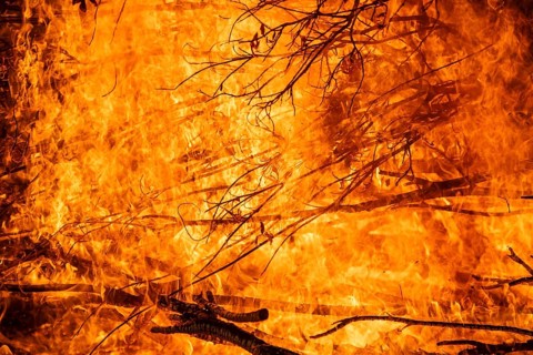 Dense flames burn branches in a strong, intense fire, Finland