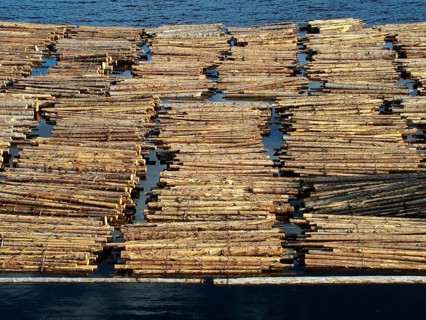 Geography, travel, trees, logs on water, Norway