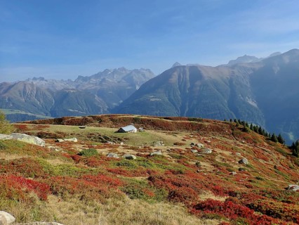 Alpine pastures in front of an impressive mountain range, surrounded by autumn-colored slopes,