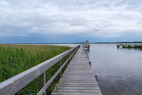 Wooden walkway by the lake, surrounded by reeds, cloudy sky, calm atmosphere, Wieck am Darß,