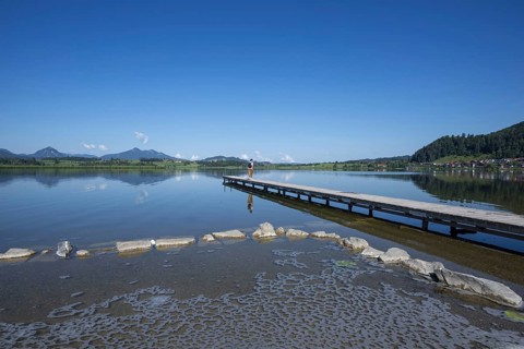 Algae foam on the shore, Hopfensee, Hopfen am See, near Füssen, Ostallgäu, Allgäu, Bavaria, Germany