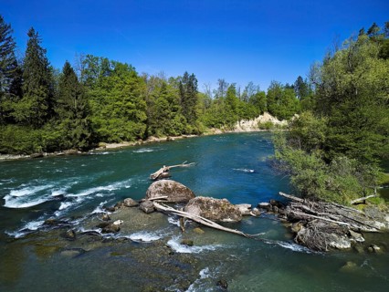 Small island in the Reuss river, Niederwil, Gnadental, Bremgarten district, Aargau canton,