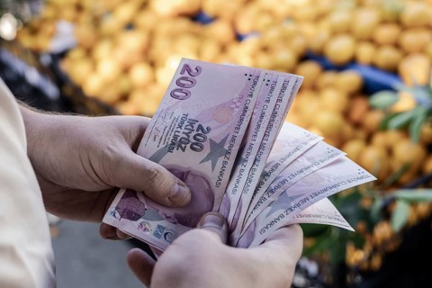 Turkish lira banknotes in male hand against the background of vegetables at the farmer's market.