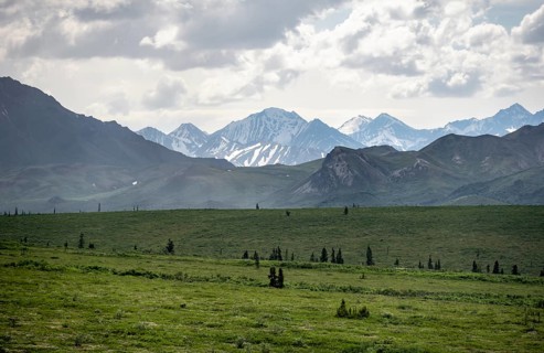 Tundra and mountain landscape with dramatic cloudy sky, Denali National Park, Alaska, USA