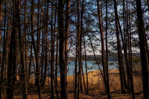 Evening at a quarry lake with a view through the forest