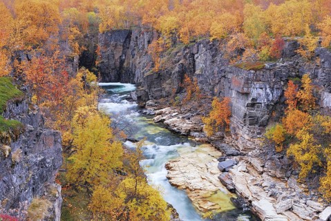 Abisko Canyon, Abiskojåkka, Abisko National Park, Norrbotten, Lapland, Sweden, Scandinavia