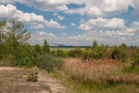 2008, Brandenburg, Germany, Nabu, Nabu Project, national natural heritage, natural paradise