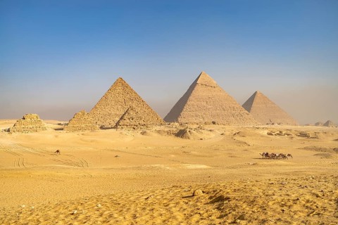 Camels in the desert and the pyramids of Giza, Egypt