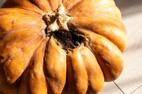 A large, orange pumpkin with a slightly damaged surface sits on a light wooden floor. Sunlight