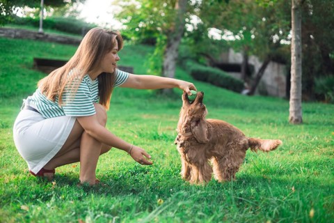 Woman and dog playing on a grassy lawn in the park, evoking a sense of carefree joy