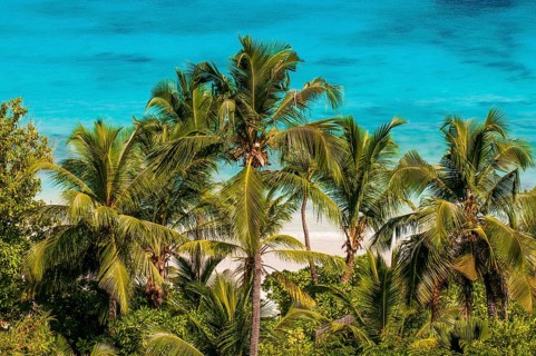 Travel, tourism, Petit Anse Beach, beach, palm beach, hotel, hotel complex, swimming pool, Mahe,