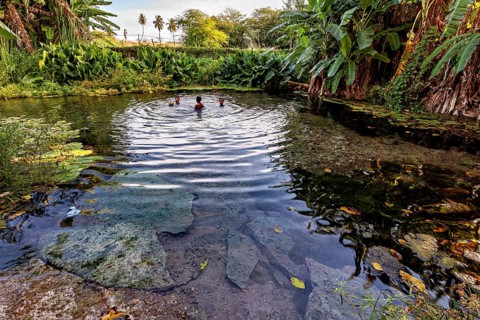 A natural lake with floating people, surrounded by lush vegetation, water surface with waves, The