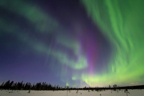 Northern Lights (Aurora borealis), Muddus National Park, Laponia World Heritage Site, Norrbotten,