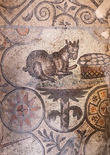 Mosaic with geometric pattern and depiction of animals, North Hall, Basilica di Santa Maria