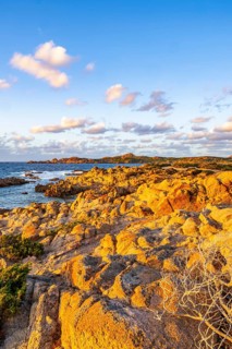 Landscape of the coastline with blue water at Marinedda Coast at sunset, Sardinia, Italy