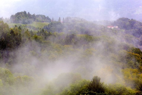Fog over mountain scenery in Styrian Tuscany. South Styria, Austria