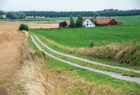 Small country road with a strip of grass in the middle in agricultural landscape with small farm in