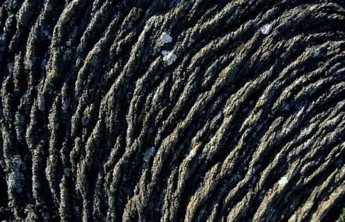 Gography, travel, lava, knitting lava, lava flow cools, Iceland, Krafla area, Thingvellir National