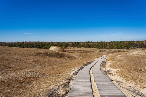 Wooden footpath on the Dead Dunes, or Grey Dunes, Curonian Spit, Neringa, Lithuania, A wooden path