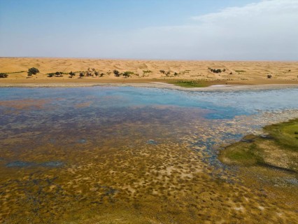 Aerial view, Swan Lake in front of moving sand dunes, salt lake in the Tengger Desert, part of the