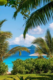 Anse Forbons Beach, Hilton's Double Tree Resort & Spa, Mahe, Seychelles, palm trees, Republic of