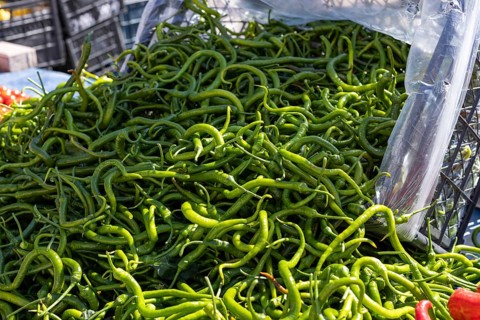 Bulk display of green chili peppers at a market, fresh and organic