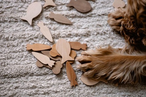 Close-up of a dog's paw on puzzle pieces scattered on a textured rug