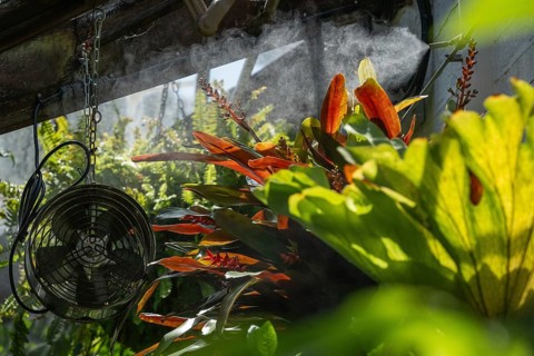 Fan that distributes the finest water droplets, exotic plants in the Tropical Corridor, a humid hot