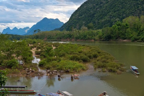 Mountain landscape near the village of Muang Ngoi on the Nam Ou River with water buffaloes and