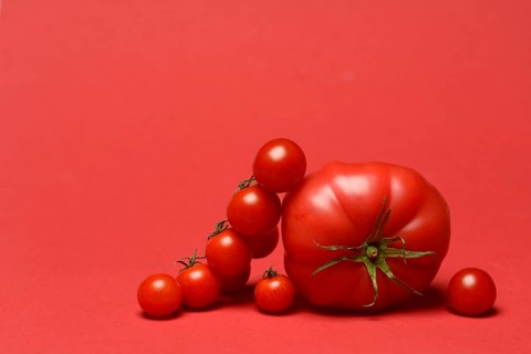 Beef tomato and cherry vine tomatoes with red background