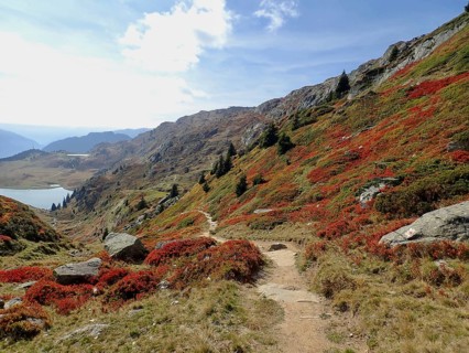 Extensive mountain landscape with autumn leaves under cloudy sky, Fiescheralp, UNESCO World