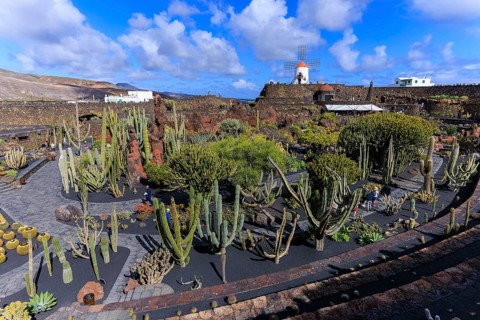 Lanzarote, Canary Islands, Spain, Europe, Cesar Manrique Jardin de Cactus near Guatiza, extensive