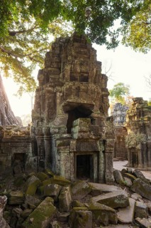 Ta Prohm, Angkor Wat, Angkor, UNESCO World Heritage Site, Siem Reap, Cambodia, Indochina, Southeast