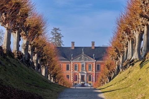 Avenue of linden trees leading to Schloss Bothmer, 18th century Baroque palatial manor house near