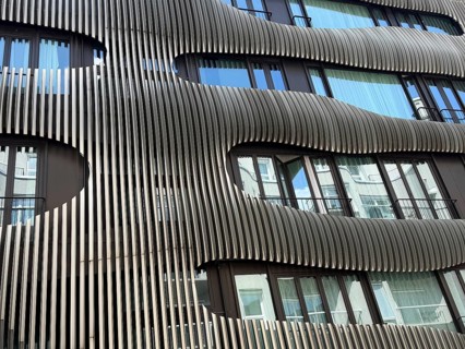 Architecture, residential construction, modern, contemporary The distinctive, biomorphic exterior