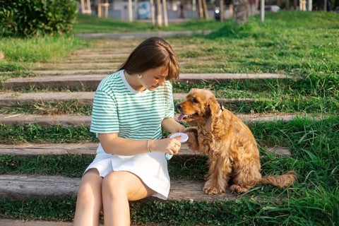 A woman sits on grassy steps petting her cocker spaniel in a tranquil outdoor space