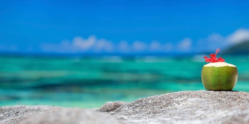 A fresh coconut with straw on La Digue beach, Seychelles, Indian Ocean, La Digue, Indian Ocean,