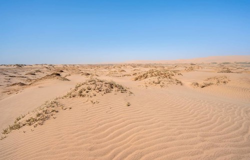 Small sand dunes, Namib Desert, Sandwich Harbour, Namib Naukluft Park, Namib Desert, Namibia