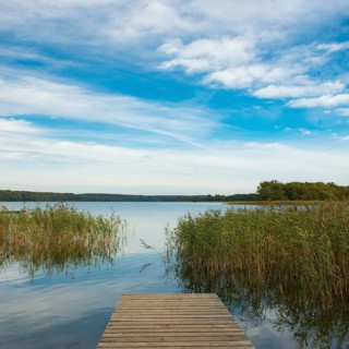 Footbridge and reeds on the banks of Breiten Luzin, lake, Müritz National Park, Feldberger